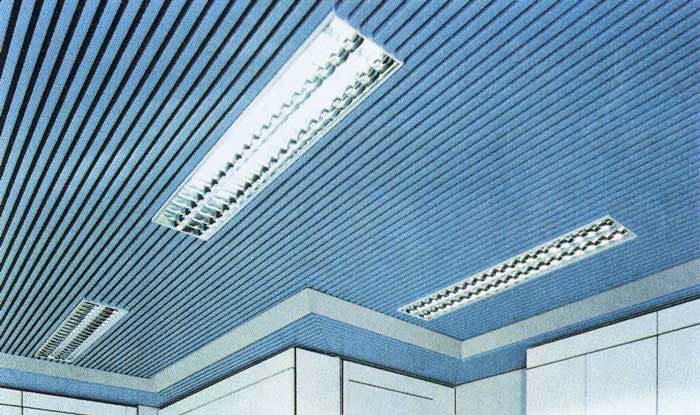 Loose Strip Panels Suspended Ceilings