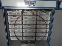 Full Hatcher incubator